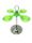 ITP157V Counter Cone Holders Stainless steel 4 supports acrylic GREEN